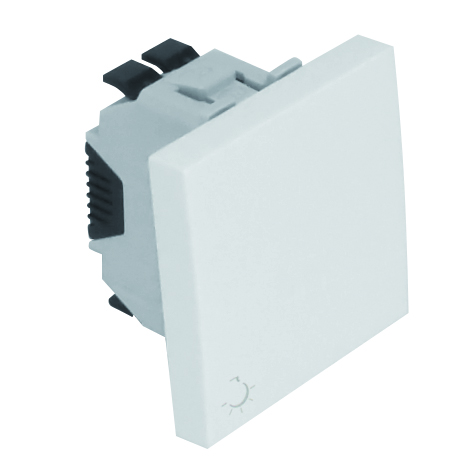 Rocker Push-Button with Lamp symbol - 2 Modules