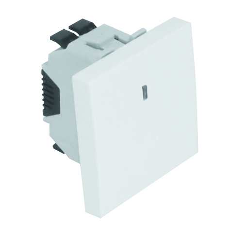 Rocker Switch with Independent Pilot Lamp (250V~) - 2 Modules